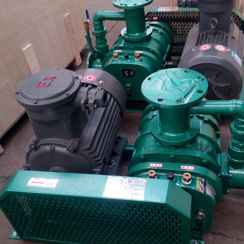 沼氣羅茨風(fēng)機(jī).jpeg 沼氣羅茨風(fēng)機(jī).jpeg